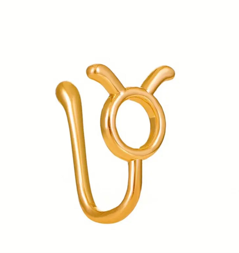 Fashionable Zodiac Sign Nose Rings